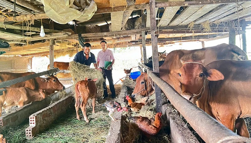 គ្រួសារក្រីក្រត្រូវបានគាំទ្រដោយកម្ចីដើម្បីវិនិយោគលើការចិញ្ចឹមសត្វ និងការអភិវឌ្ឍន៍សេដ្ឋកិច្ច។
