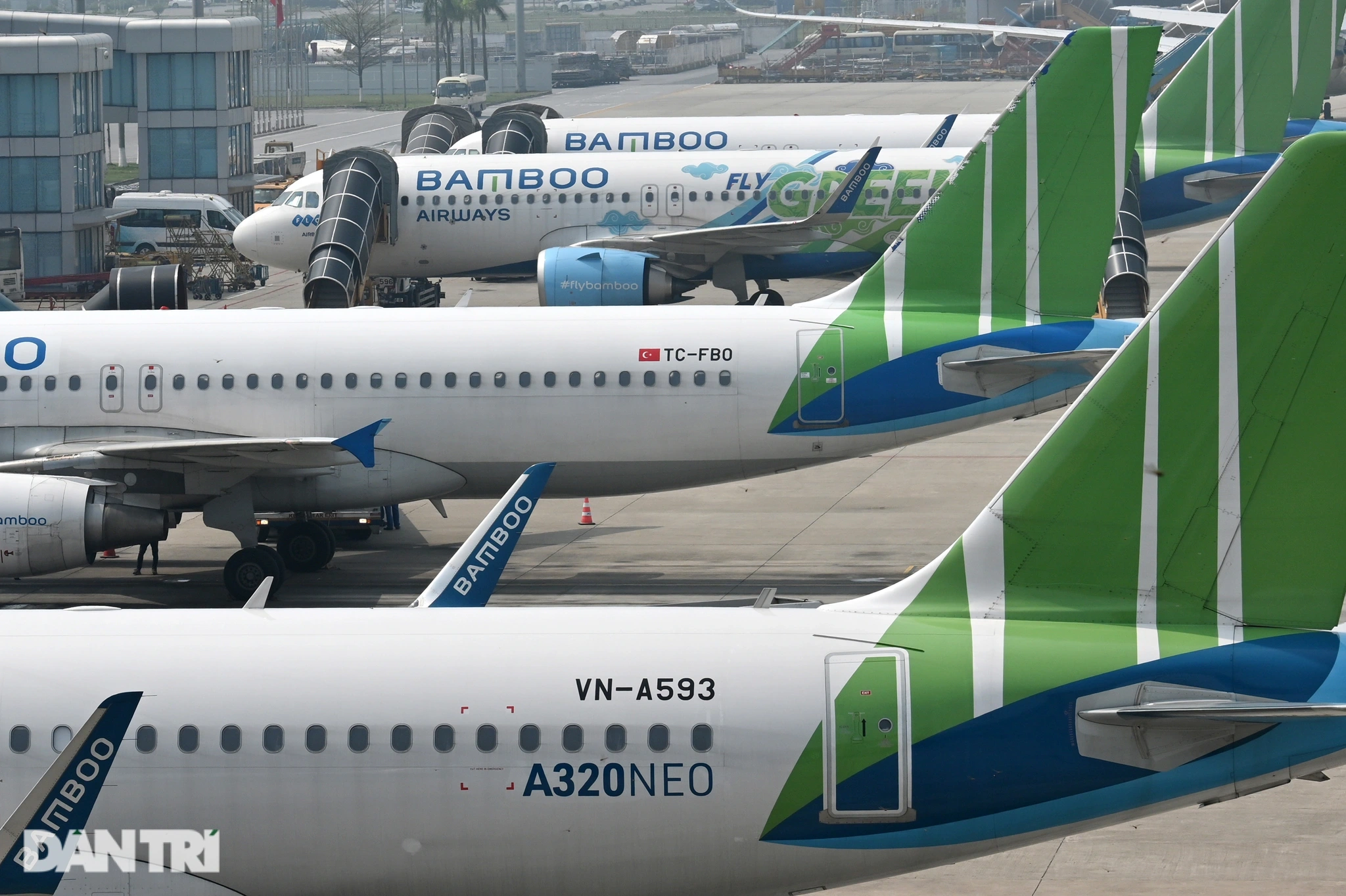 Bamboo Airways, chuyện ghế nóng và khát vọng chuyển mình - 3