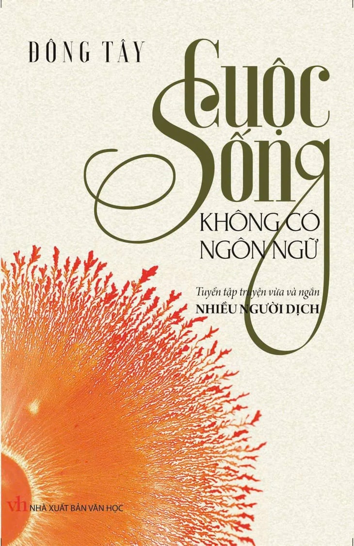 Đông Tây - Ảnh 3.