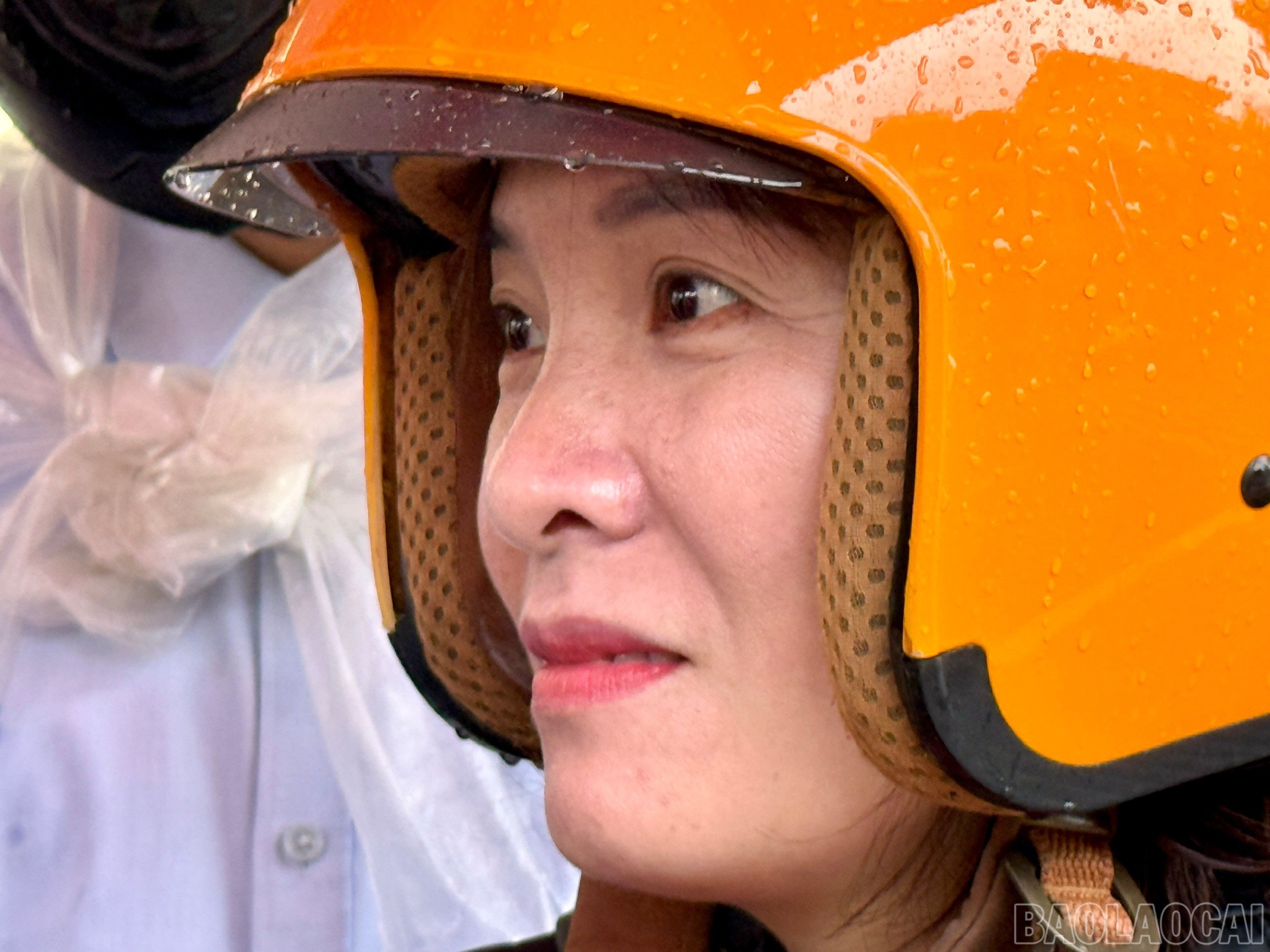 baolaocai-br_z6747791639748-f8789d4ee98868d967335f5c57a5ef52.jpg