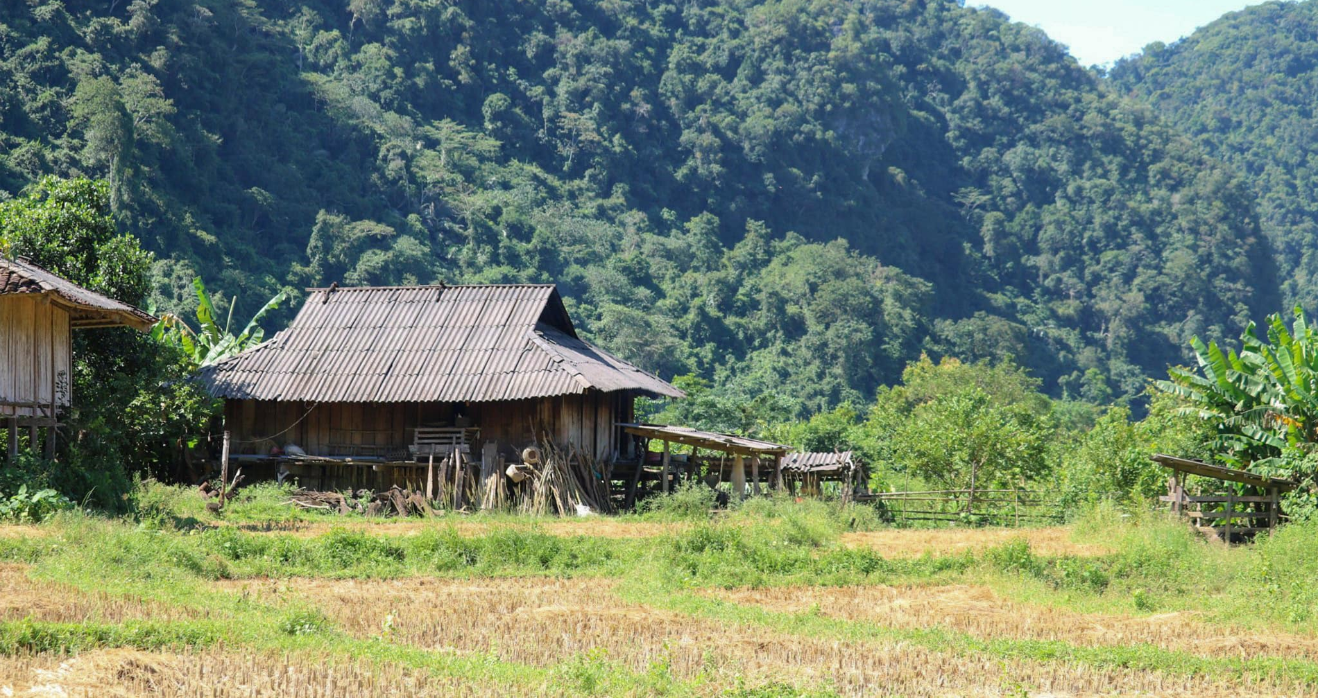 ភូមិ​ឡាង​សឺន​មិន​មាន​ភ្លើង​ឬ​ភ្លើង​សញ្ញា​ទេ ប៉ុន្តែ​គ្មាន​អ្នក​ណា​ចង់​ចេញ​ទេ។