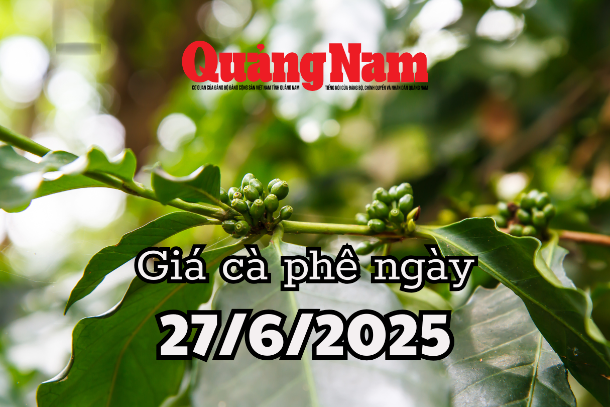 Giá cà phê hôm nay 27 6 2025 Đà hồi phục chậm, thị trường vẫn u ám