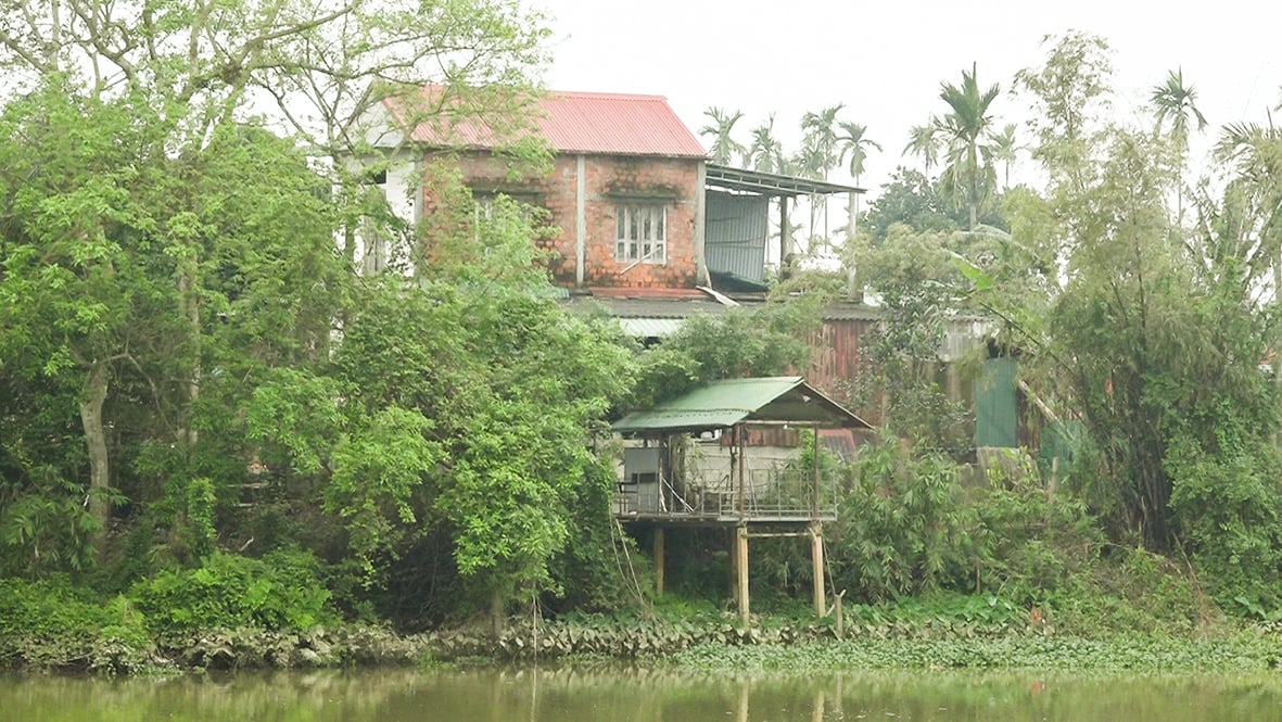 Sông Vĩnh Định đoạn qua thôn Nại Cửu sạt lở khiến người dân bất an