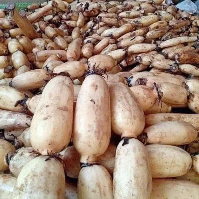 Loại củ bán đầy ngoài chợ vào mùa hè giúp ổn định huyết áp, tốt cho tim mạch, đem làm 3 món này càng bổ dưỡng- Ảnh 2.