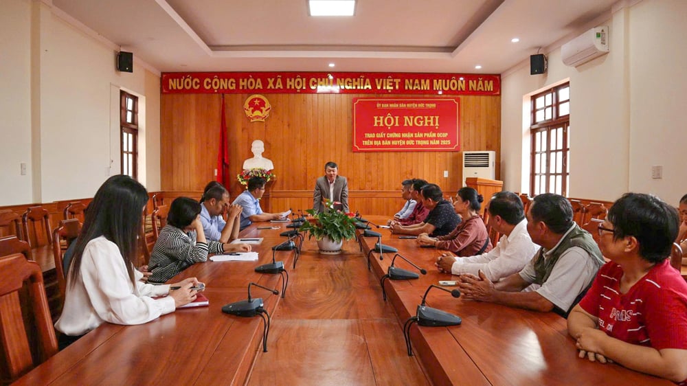 Quang cảnh hội nghị