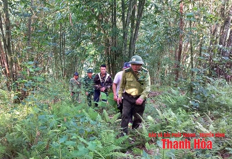 Gruppi e squadre della comunità partecipano alla protezione delle foreste.