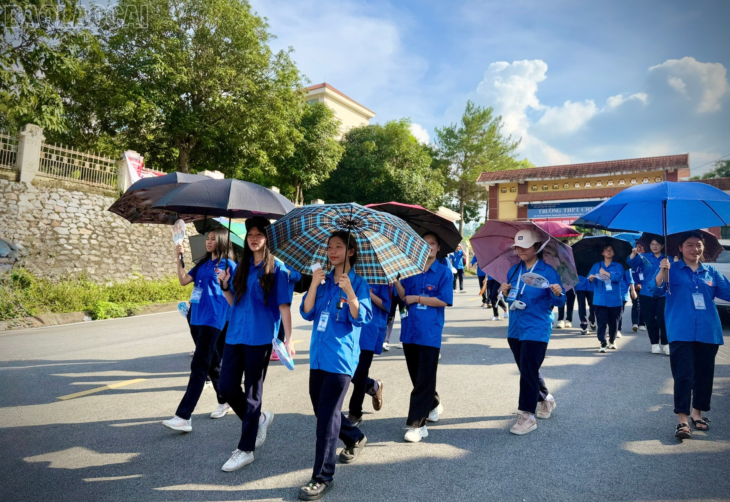 baolaocai-tl_z6745224556824-26c4f22b23cb4ab0db607fa1ddd6c62c.jpg