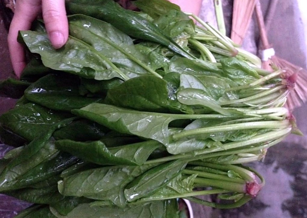 Muốn gan khỏe mạnh, đừng bỏ qua 5 loại rau này - 3