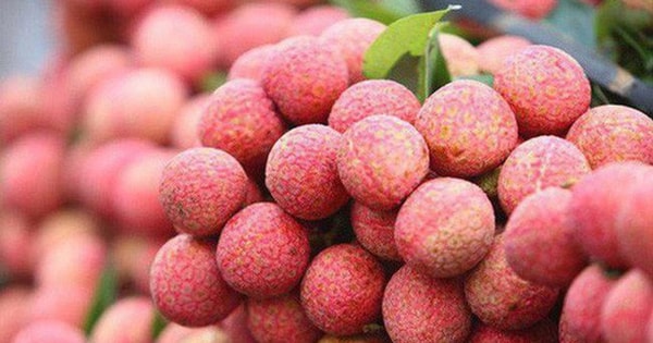 إزالة الصعوبات أمام المنتجات الزراعية المصدرة في موسم المحصول الرئيسي