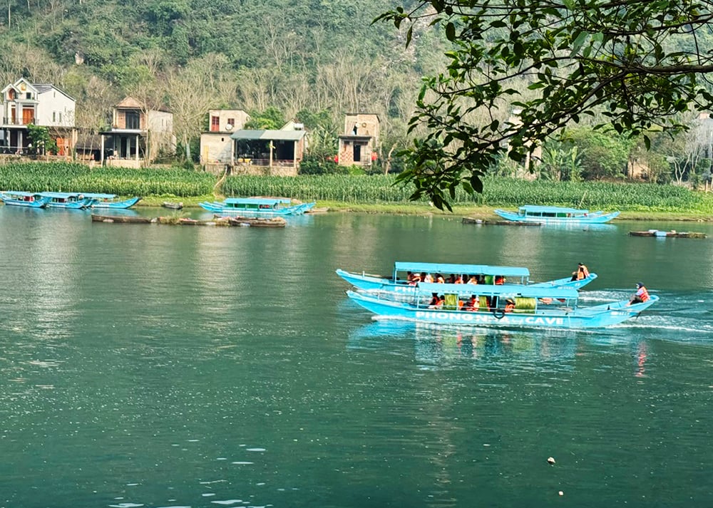 ចំនួនអ្នកទស្សនាល្អាង Phong Nha បានកើនឡើង។