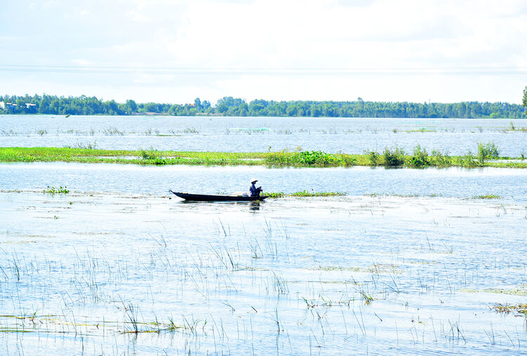 ស្វាគមន៍ទឹកជំនន់!