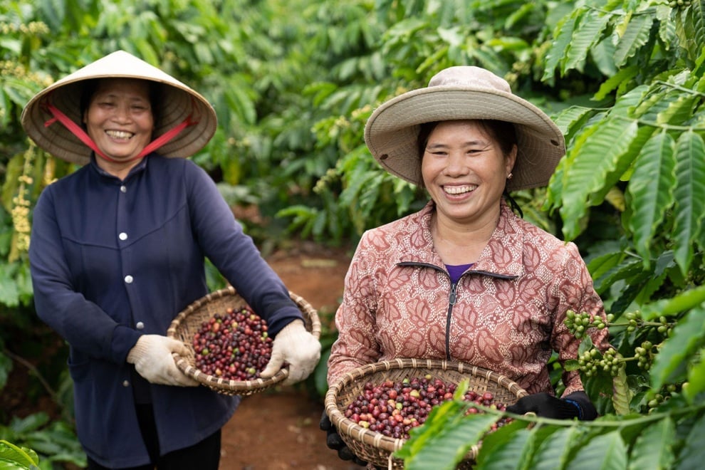 30 năm Nestlé đồng hành cùng người Việt trên hành trình phát triển bền vững - 3