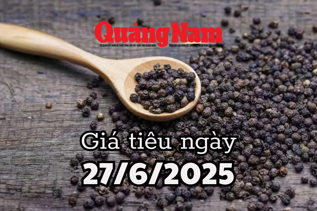 Giá tiêu hôm nay 27 6 2025 Lo ngại nguồn cung sụt giảm đẩy giá tăng