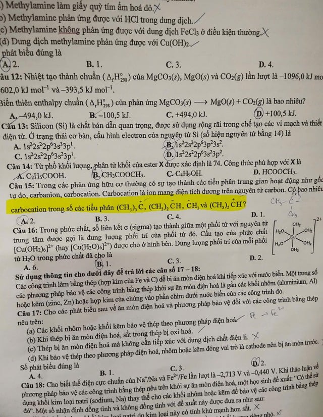  - Ảnh 1.