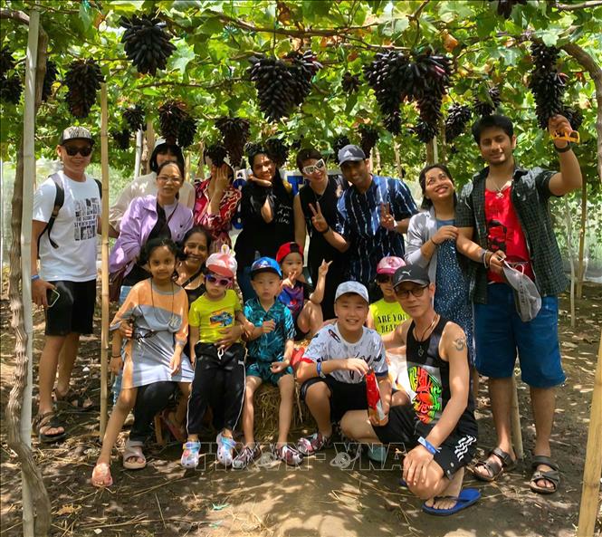 นิญถ่วน: ส่งเสริมผลิตภัณฑ์ OCOP ที่เกี่ยวข้องกับการท่องเที่ยวเชิงประสบการณ์ในดินแดนแห่งแสงแดดและสายลม - ภาพที่ 1