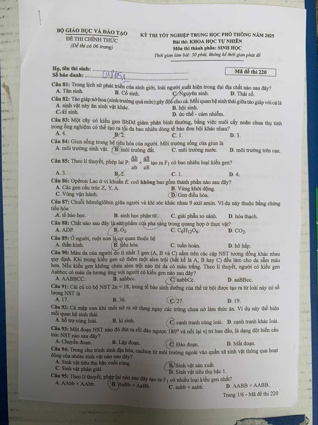 Đề thi và đáp án tốt nghiệp THPT 2025 môn sinh học chương trình GDPT 2006 - 1