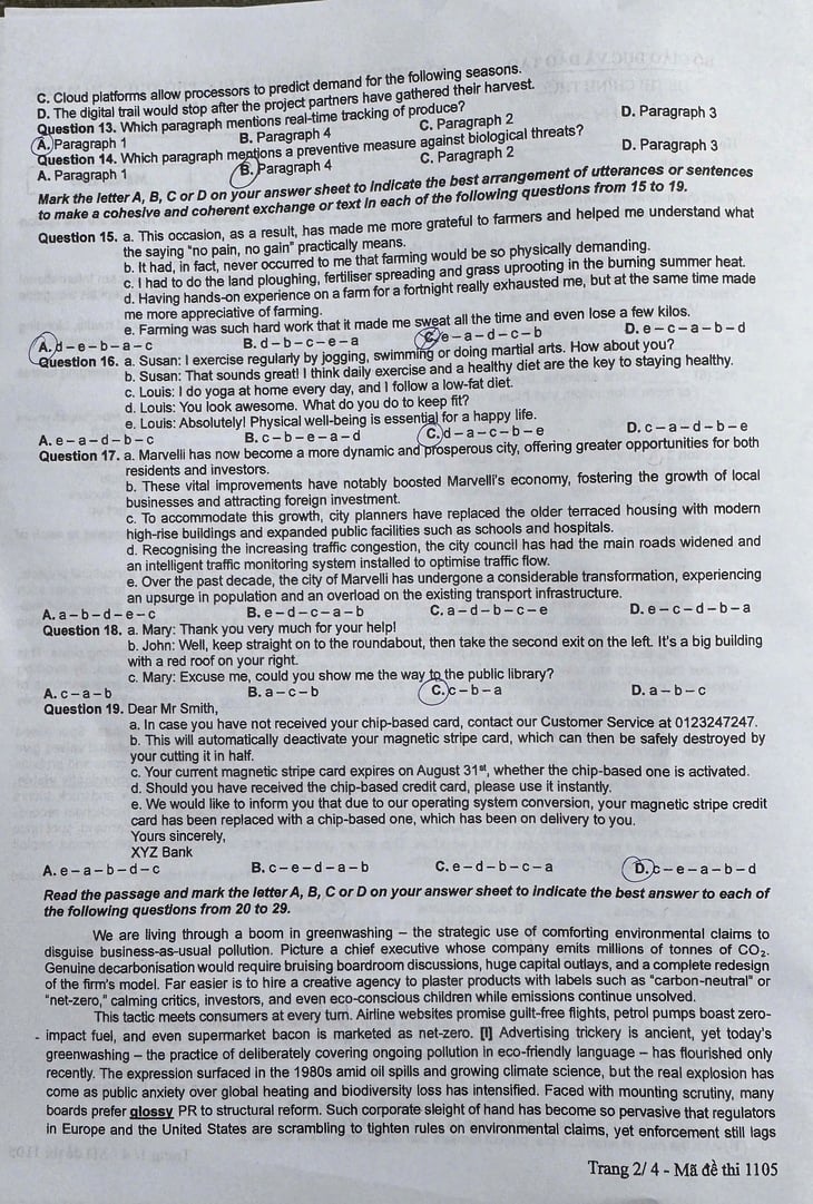 đề thi tiếng anh - Ảnh 3.