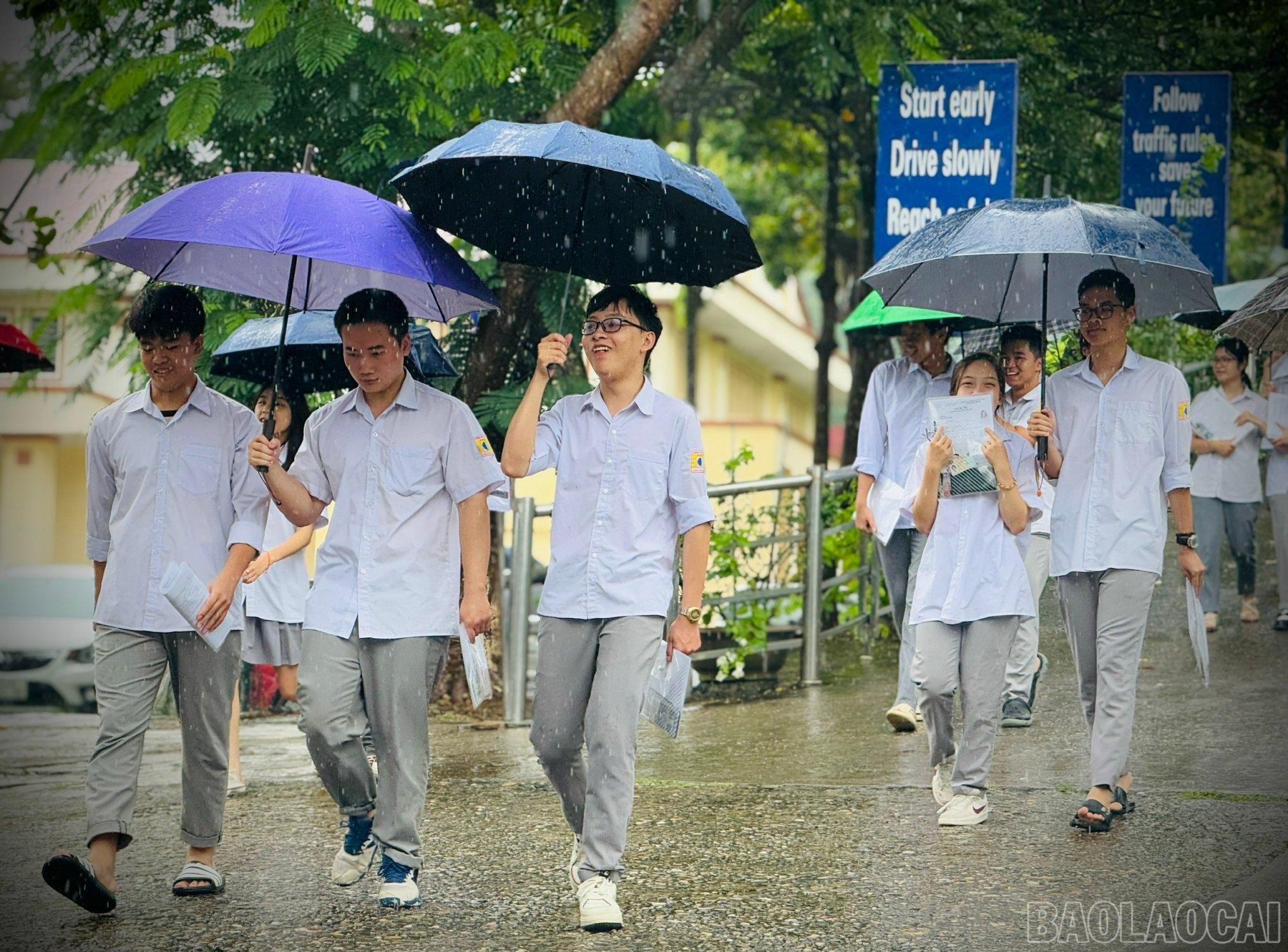 baolaocai-br_z6746888517416-026e4d12f01548488ed853b5ce6bc97e.jpg