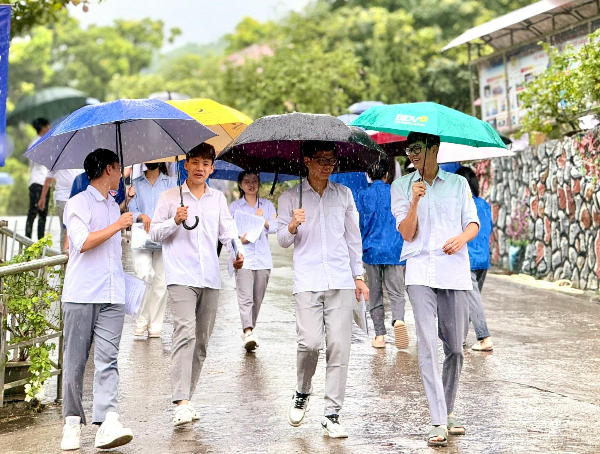 baolaocai-br_z6746870525740-365ce1f5354da0f682ca6994aff68734.jpg