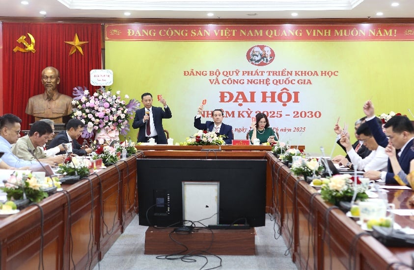Đảng bộ Quỹ Phát triển KH&CN Quốc gia: Phấn đấu đưa Việt Nam vào nhóm dẫn đầu ASEAN về công bố quốc tế và chỉ số H-index - Ảnh 5.