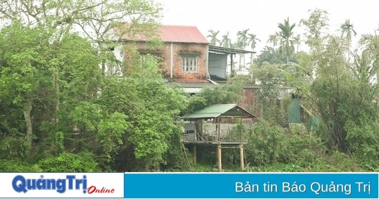 Sông Vĩnh Định đoạn qua thôn Nại Cửu sạt lở khiến người dân bất an
