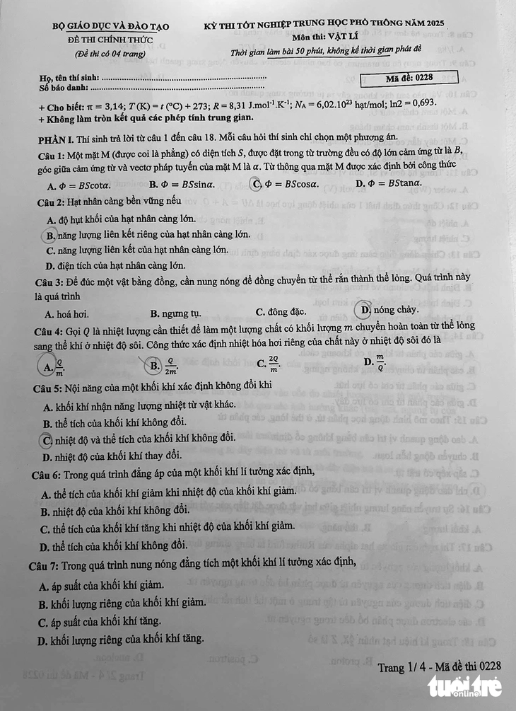tầm quan trọng của giáo dục - Ảnh 3.