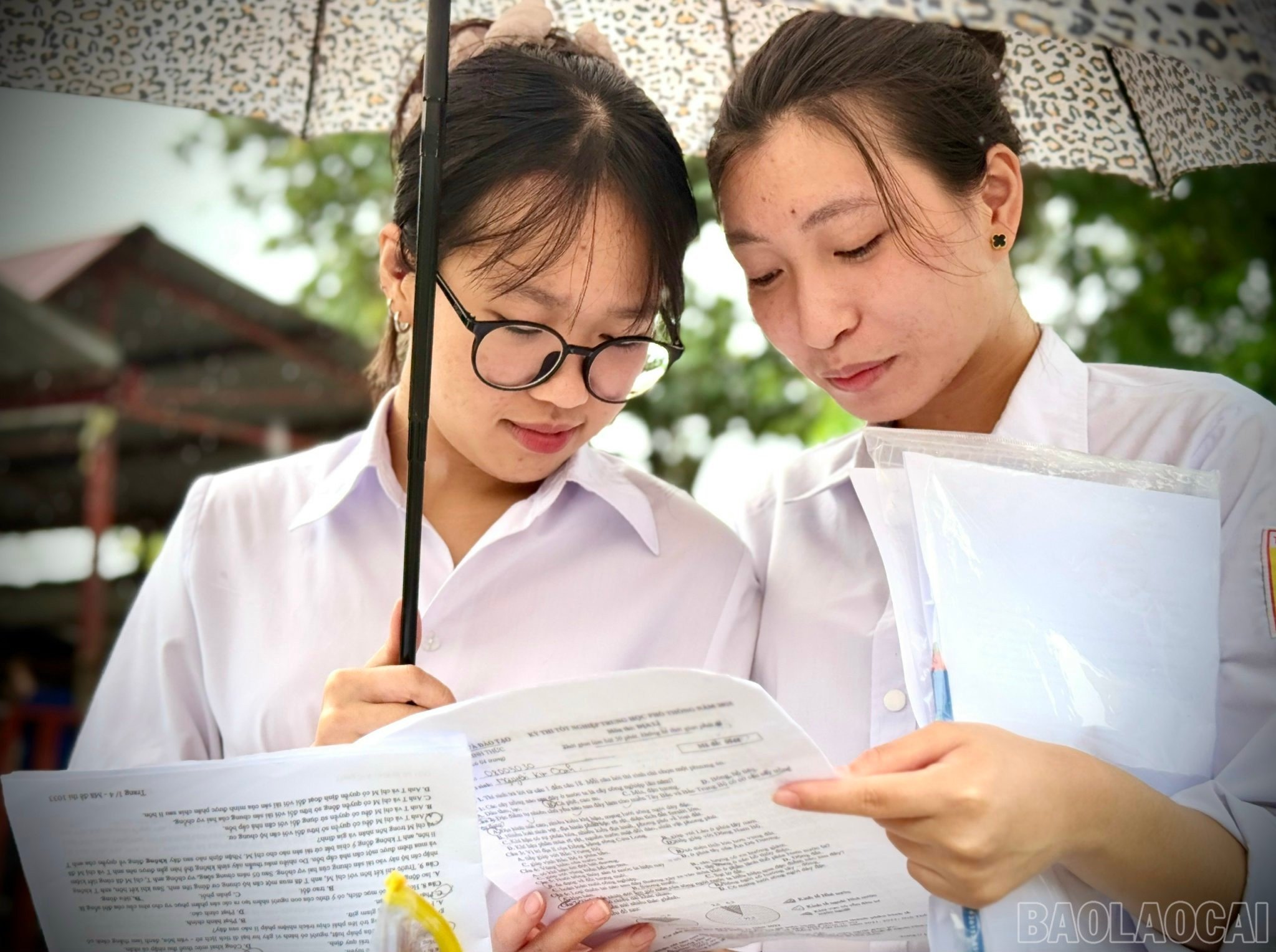 baolaocai-br_z6746855399792-569ec184e7e858894ece71e7d81597c6.jpg