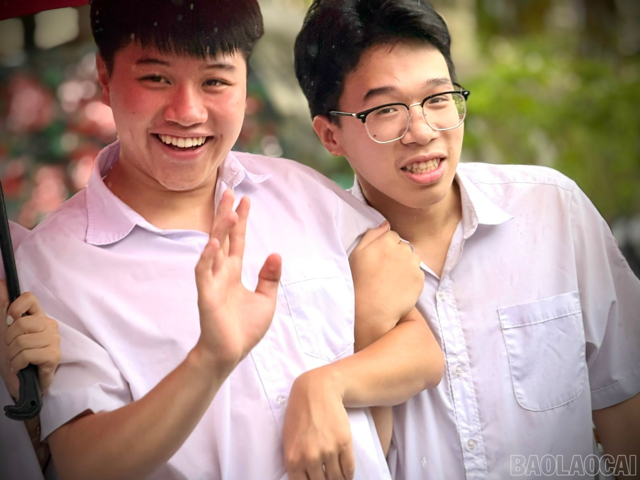 baolaocai-br_z6746851178537-41f7fba960bf1e01050b457d9fb261f0.jpg