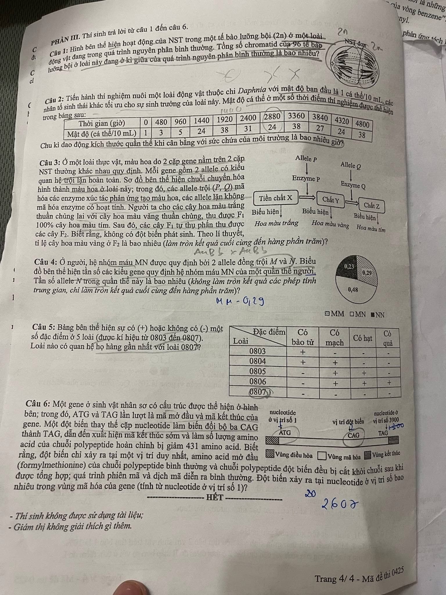 生物学試験解答キーコード0425高校卒業試験2025