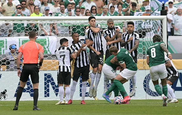 Trực tiếp Palmeiras vs Botafogo 0-0 (H2): Hiệp 2 bắt đầu ảnh 9