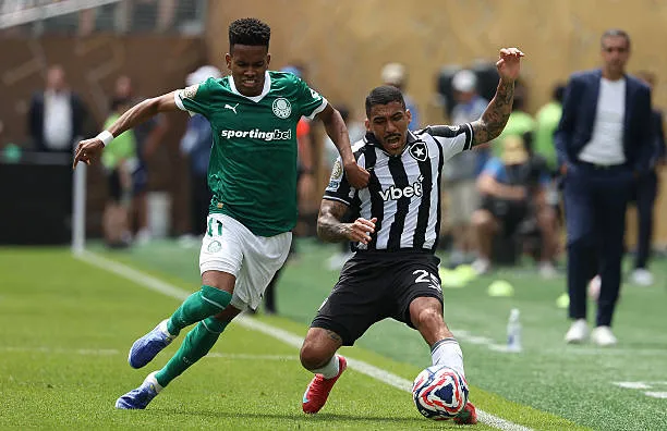 Trực tiếp Palmeiras vs Botafogo 0-0 (H2): Hiệp 2 bắt đầu ảnh 6