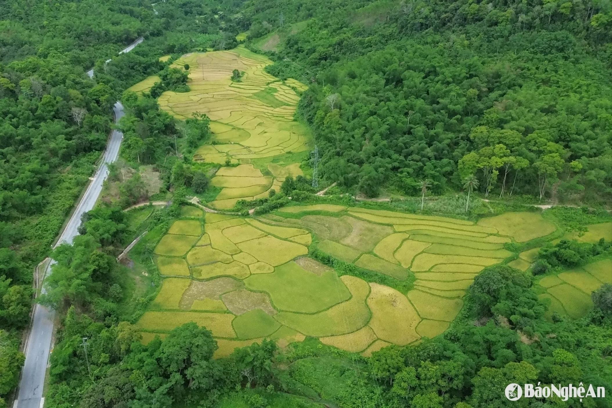 អាកាសធាតុ Nghe An ថ្ងៃទី 28 ខែមិថុនា៖ ថ្ងៃមានពន្លឺថ្ងៃ ភ្លៀងនៅពេលរសៀល និងពេលយប់