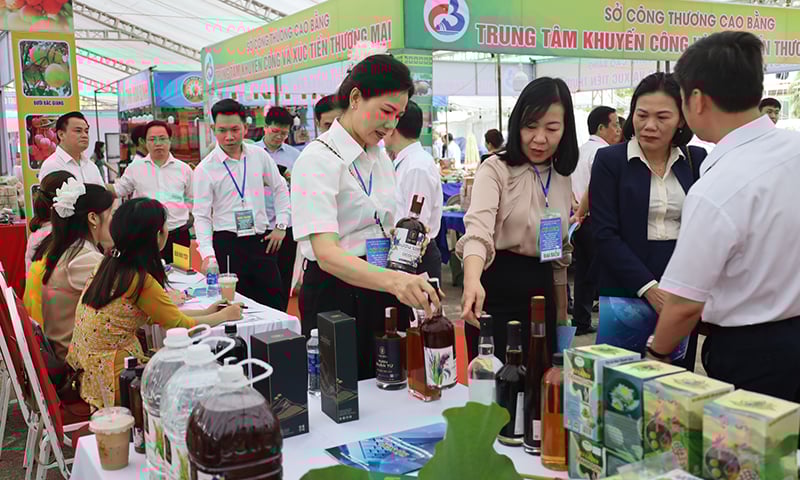 Hoạt động xúc tiến thương mại, kết nối cung cầu hàng hóa được đẩy mạnh.  