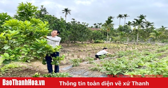 Sống “tốt đời, đẹp đạo” trong đồng bào công giáo huyện Nga Sơn