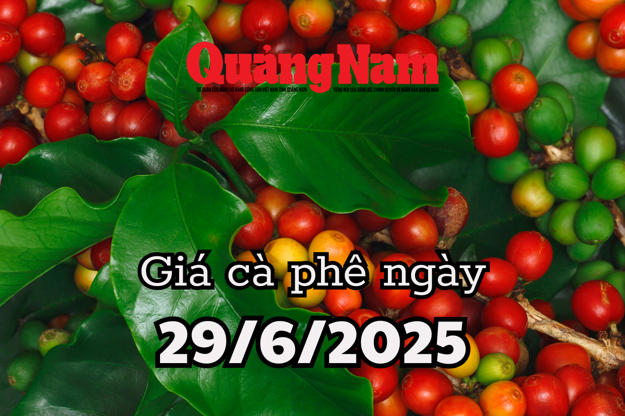 News, ព្យាករណ៍តម្លៃកាហ្វេថ្ងៃស្អែក ២៩ មិថុនា ២០២៥ កាហ្វេវៀតណាមឡើងថ្លៃ ពិភពលោកលិចក្នុងសមុទ្រក្រហម