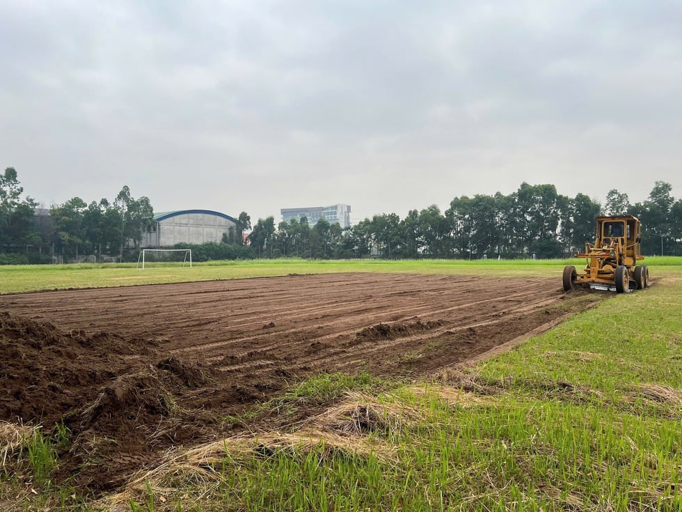 HLV Tây Ban Nha và Ninh Bình FC sắp được ‘tung hoành’ trên mặt sân cực đẹp- Ảnh 3.