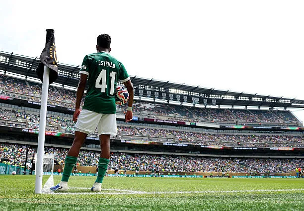 Trực tiếp Palmeiras vs Botafogo 0-0 (H2): Hiệp 2 bắt đầu ảnh 4