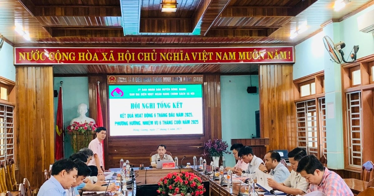 Die gesamten ausstehenden Policenschulden in Dong Giang erreichen über 380 Milliarden VND