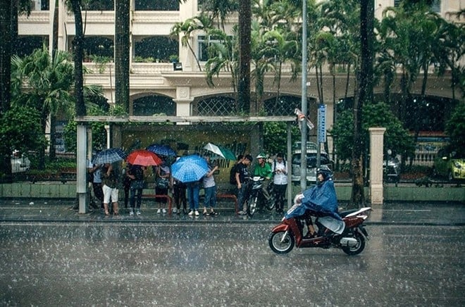 Thời tiết hôm nay (28/6): Miền Bắc mưa to diện rộng. Ảnh minh hoạ: cand.com.vn
