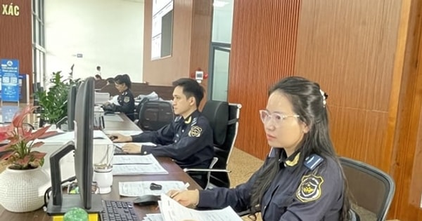 Tạm dừng tiếp nhận khai hải quan từ 22h ngày 30-6 đến 5h ngày 1-7