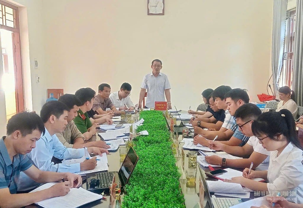 Inspection team of the Working Group inspected the actual situation in Kien Moc commune