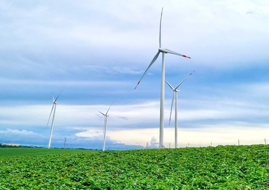 trang-trai-phong-dien-hbre-chu-prong-co-cong-suat-50-mw-gom-12-tua-bin-gio-anh-vt.jpg
