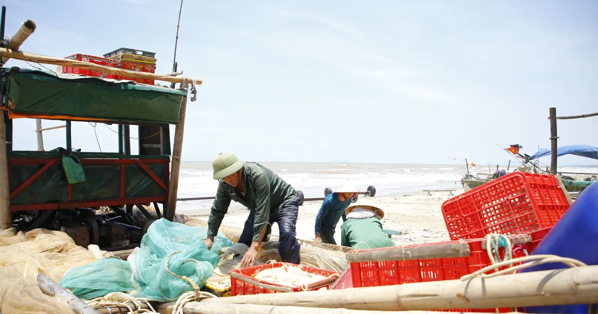 Nhọc nhằn nghề khai thác tép biển