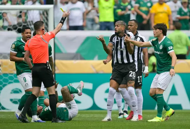 Trực tiếp Palmeiras vs Botafogo 0-0 (H2): Hiệp 2 bắt đầu ảnh 10