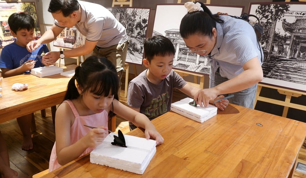 Thú vị Workshop “Trải nghiệm làm tiêu bản côn trùng”  - ảnh 1