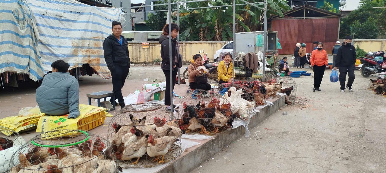 តម្លៃទីផ្សារនៅថ្ងៃទី 28 ខែមិថុនា ឆ្នាំ 2025