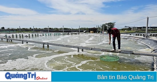 Proactively protect aquaculture products from heat