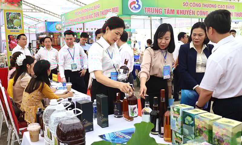 បញ្ជាក់ពីតួនាទីនៃ "ក្បាលរថភ្លើង" សម្រាប់ការអភិវឌ្ឍន៍សេដ្ឋកិច្ចក្នុងស្រុក