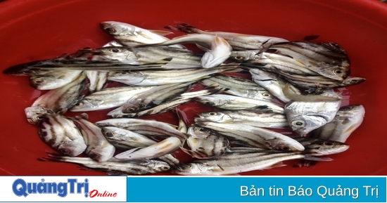Cá kho nhạt nhưng đậm tình quê