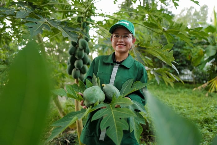 Bí quyết đằng sau dòng sữa sóng sánh, hậu vị cỏ hoa Vinamilk Green Farm- Ảnh 3.